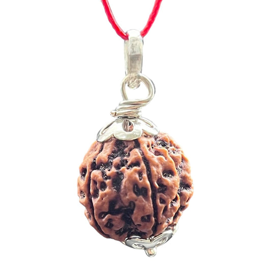 925 Sterling Silver 5 mukhi rudraksh pendant